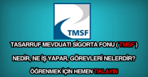 TMSF nedir, ne iş yapar?